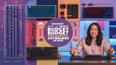 budget mechanical keyboard for beginners
